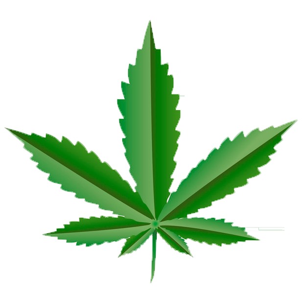 cbd